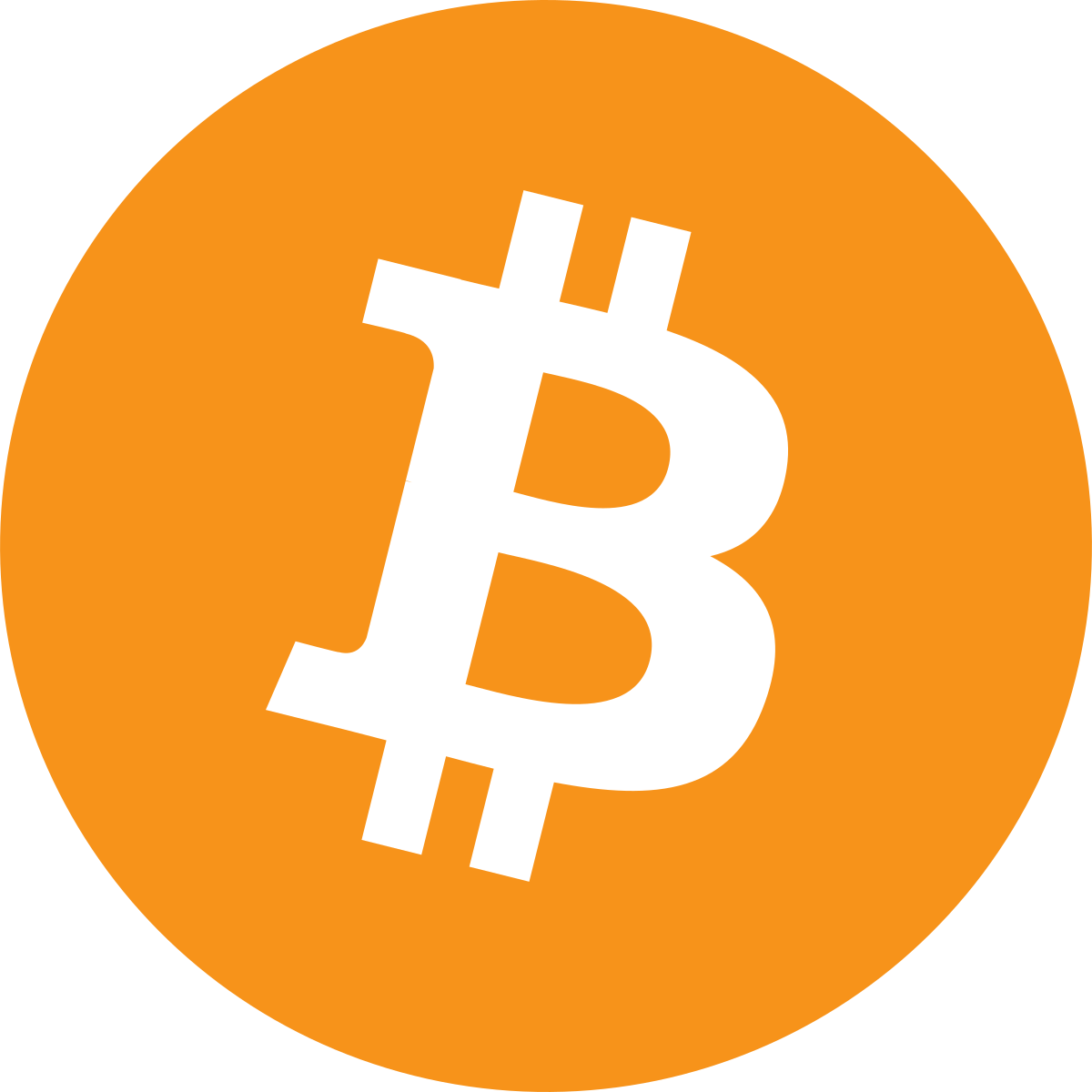 Criptomoedas: Vai subir mais ou vai cair em 2025?